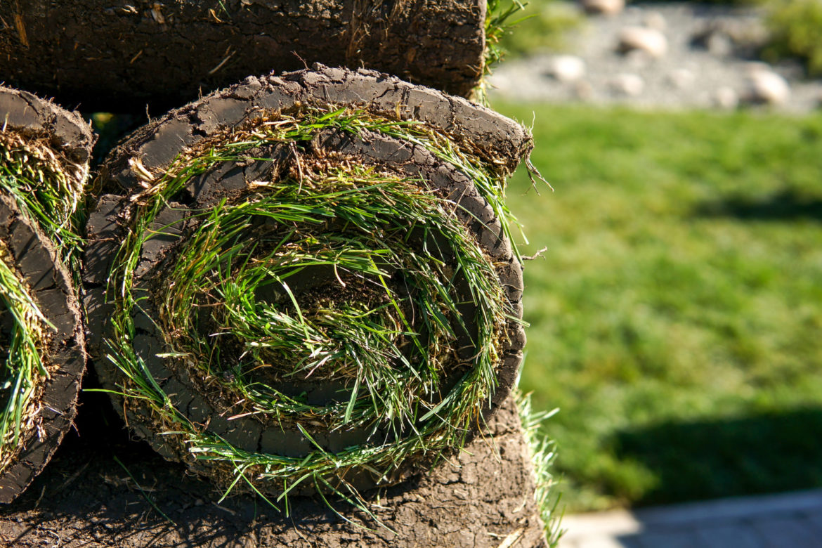 Sod/Hydroseed