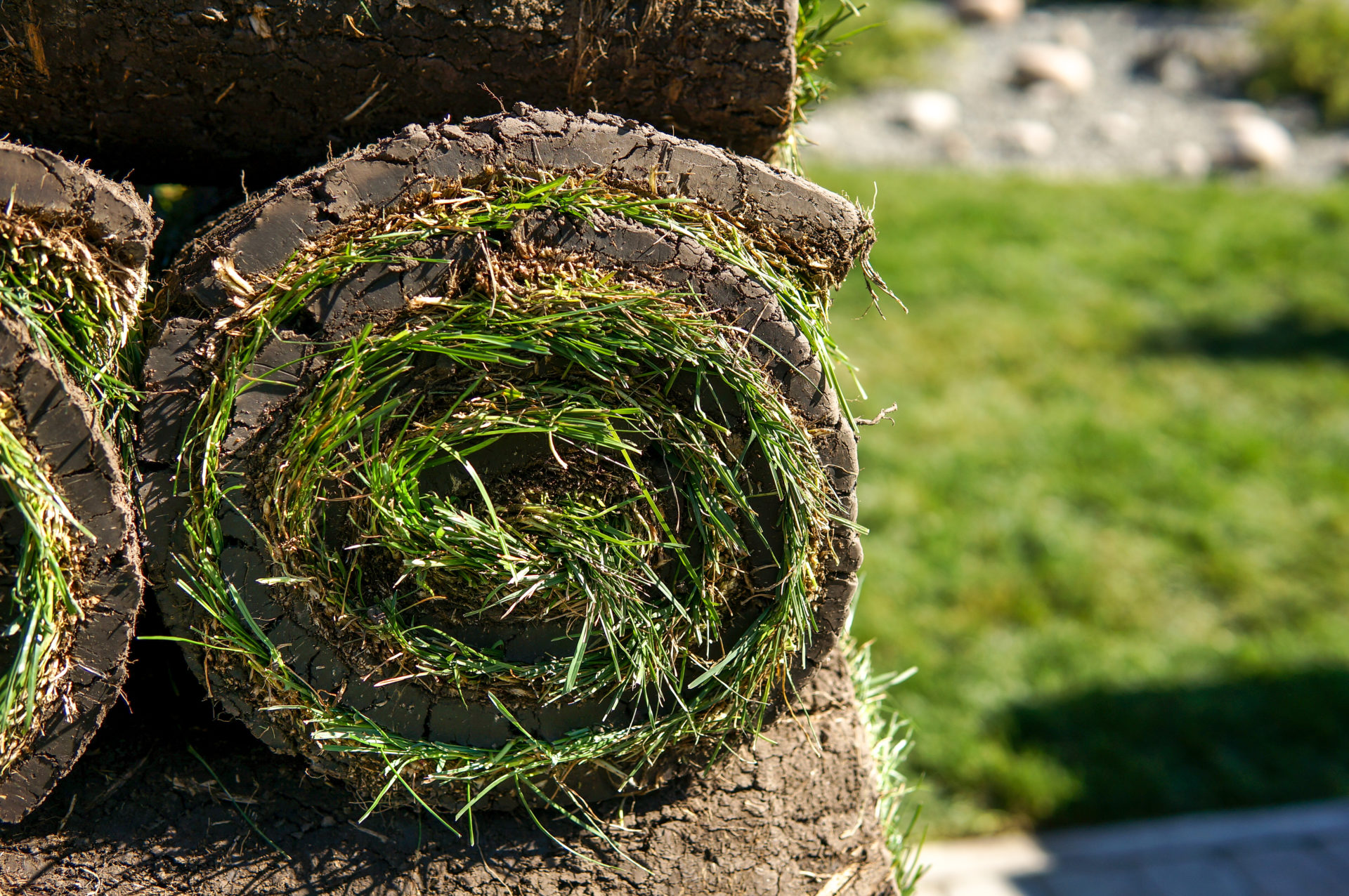 sod-hydroseed-ogden-lawn-and-landscaping